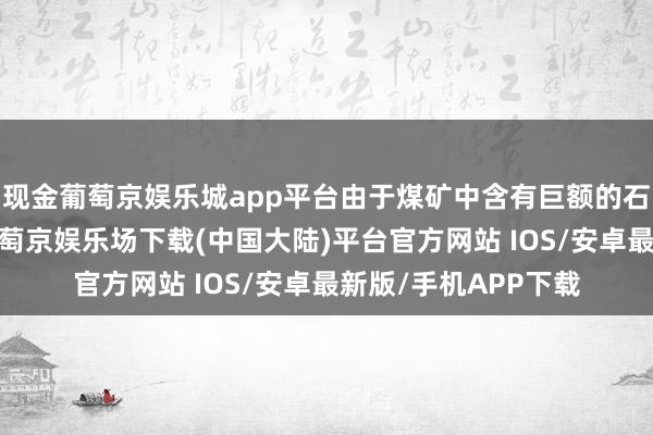 现金葡萄京娱乐城app平台由于煤矿中含有巨额的石灰岩等硬质颗粒-葡萄京娱乐场下载(中国大陆)平台官方网站 IOS/安卓最新版/手机APP下载