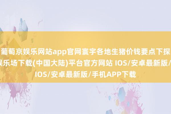 葡萄京娱乐网站app官网寰宇各地生猪价钱要点下探彰着-葡萄京娱乐场下载(中国大陆)平台官方网站 IOS/安卓最新版/手机APP下载