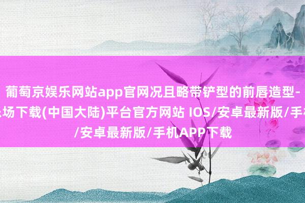 葡萄京娱乐网站app官网况且略带铲型的前唇造型-葡萄京娱乐场下载(中国大陆)平台官方网站 IOS/安卓最新版/手机APP下载