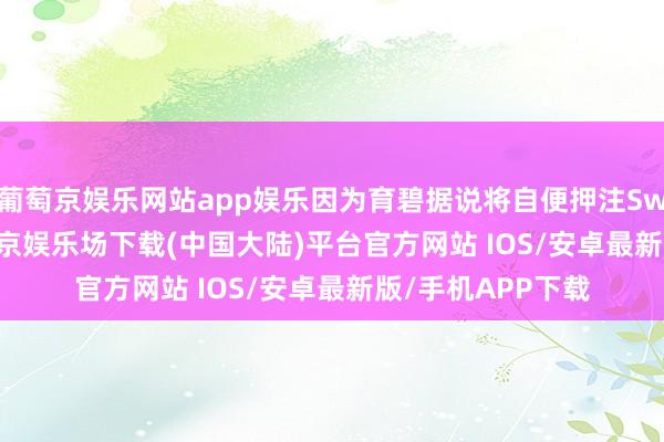 葡萄京娱乐网站app娱乐因为育碧据说将自便押注Switch 2主机-葡萄京娱乐场下载(中国大陆)平台官方网站 IOS/安卓最新版/手机APP下载