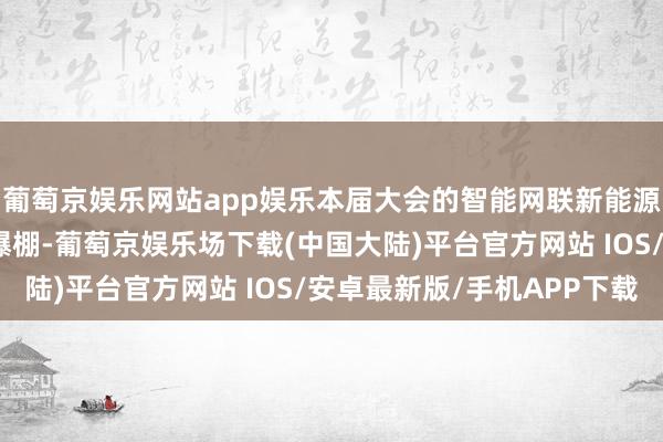 葡萄京娱乐网站app娱乐本届大会的智能网联新能源汽车展区东说念主气爆棚-葡萄京娱乐场下载(中国大陆)平台官方网站 IOS/安卓最新版/手机APP下载