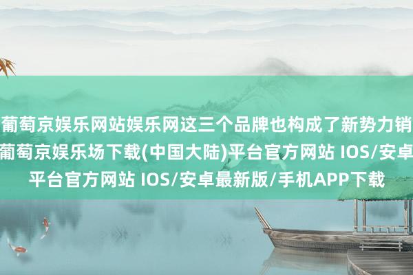 葡萄京娱乐网站娱乐网这三个品牌也构成了新势力销量排名的第一梯队-葡萄京娱乐场下载(中国大陆)平台官方网站 IOS/安卓最新版/手机APP下载