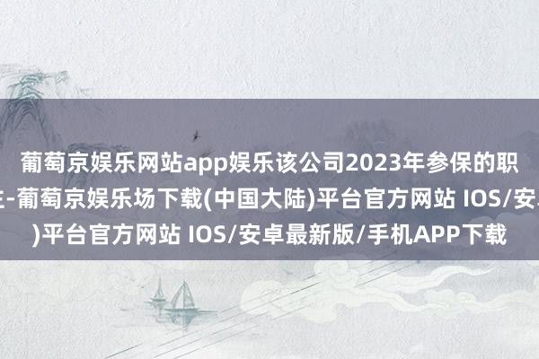 葡萄京娱乐网站app娱乐该公司2023年参保的职工总额仅有9东说念主-葡萄京娱乐场下载(中国大陆)平台官方网站 IOS/安卓最新版/手机APP下载