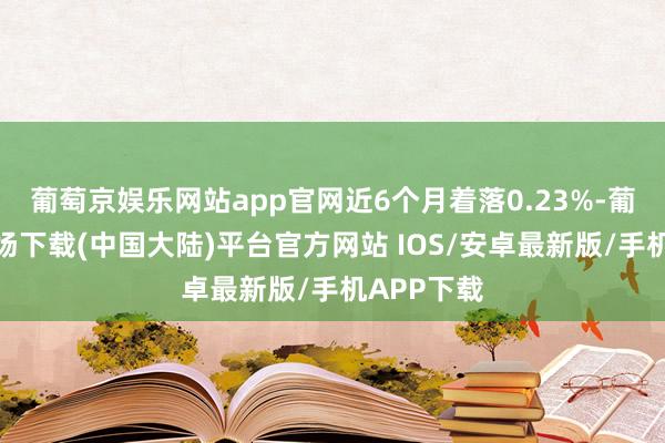 葡萄京娱乐网站app官网近6个月着落0.23%-葡萄京娱乐场下载(中国大陆)平台官方网站 IOS/安卓最新版/手机APP下载