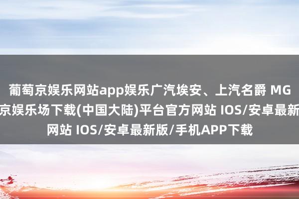 葡萄京娱乐网站app娱乐广汽埃安、上汽名爵 MG也踏进前五-葡萄京娱乐场下载(中国大陆)平台官方网站 IOS/安卓最新版/手机APP下载