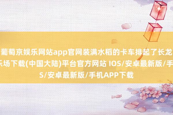 葡萄京娱乐网站app官网装满水稻的卡车排起了长龙-葡萄京娱乐场下载(中国大陆)平台官方网站 IOS/安卓最新版/手机APP下载