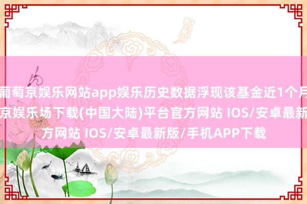 葡萄京娱乐网站app娱乐历史数据浮现该基金近1个月飞腾2.28%-葡萄京娱乐场下载(中国大陆)平台官方网站 IOS/安卓最新版/手机APP下载