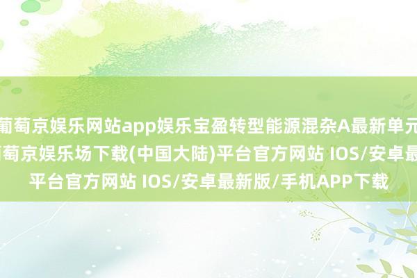 葡萄京娱乐网站app娱乐宝盈转型能源混杂A最新单元净值为1.1861元-葡萄京娱乐场下载(中国大陆)平台官方网站 IOS/安卓最新版/手机APP下载