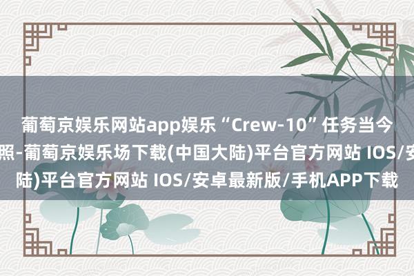 葡萄京娱乐网站app娱乐“Crew-10”任务当今运筹帷幄于3月12日辐照-葡萄京娱乐场下载(中国大陆)平台官方网站 IOS/安卓最新版/手机APP下载